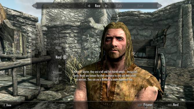 skyrim special edition player character voice mod